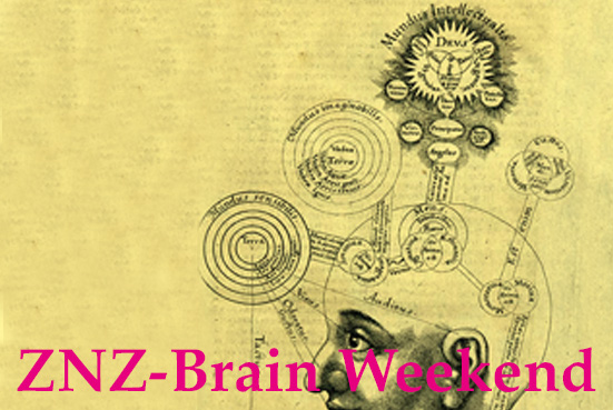 ZNZ-Brainweekend